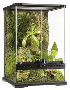 Exo Terra Glass Terrarium, 12 by 12 by 18-Inch