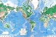 World Map Wall Mural - 8'8"x13'0"