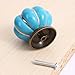 Icibgoods Kitchen Pumpkins Handles Pull Drawer Knobs Zinc Ceramic Door Cabinets Cupboard Hardware Set of 5 (Blue)