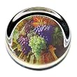 First Blush - Small Round Glass Paperweight