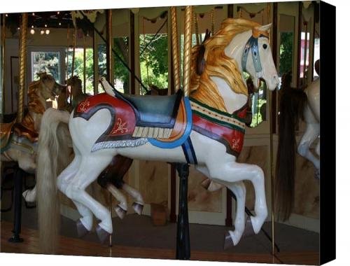 Carousel Horse 2 Canvas Print / Canvas Art - Artist Carol Ann Thomas