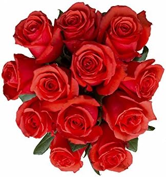 36 Stems - Fresh Cut Orange Rose Bouquet from Flower Explosion (Star 2000)