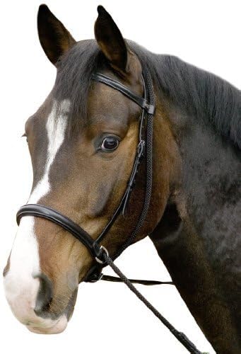 USG Bitless Bridle Connection with Noseband/ Web Reins, Cob, Black Leather/ Black Lined by UNJFB