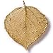 Real Aspen Lace Leaf Pin - Gold