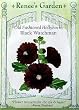 Hollyhocks Black Watchman Heirloom Seeds 55 Seeds