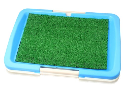 BP171 Dog Potty 46.5*34cm*5.5cm