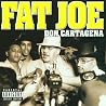 Image of album by Fat Joe