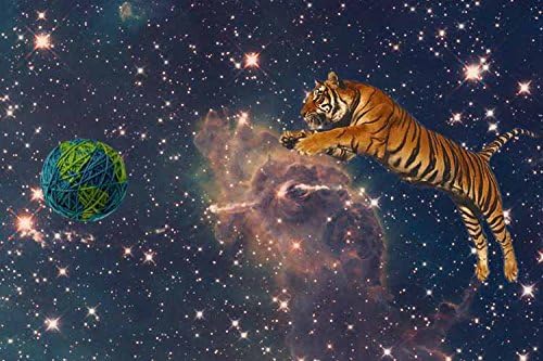 Coming Orders Custom Door Kitchen WallPaper Posters Space Tiger Jump s Room Decoration
