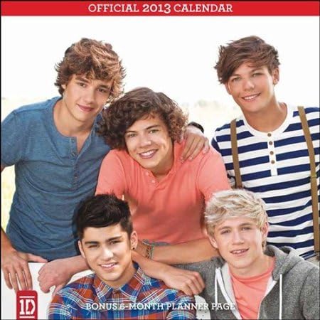 1D The Official 2013 MINI Wall Calendar