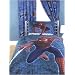 Spiderman 3 Curtains NYC Design 54" drop