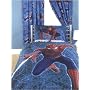 Spiderman 3 Curtains NYC Design 54" drop