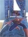 Spiderman 3 Curtains NYC Design 54