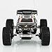 WLtoys 2019 Radio Control Mini High Speed Racing Car Black [TY1]
