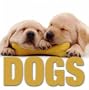 Dogs (CubeBook)