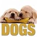 Dogs (CubeBook)