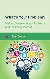 What's your problem? : making sense of social problems and the policy process