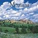 Montana, Wild & Scenic 2009 Square Wall Calendar
