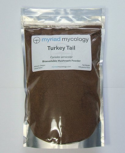Myriad Mycology Turkey Tail Mushroom Powder 16oz or 1lb, Made in USA / Yun Zhi, 456g Myriad Mycology Turkey Tail Mushroom Powder 16oz or 1lb, Made in USA / Yun Zhi, 456g