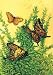Toland, Butterflies In Flight Garden Flag, 12.5" x 18", #113203