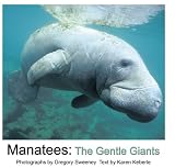 Manatees: The Gentle Giants