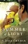 Summer of Light: A Novel