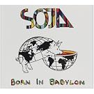 Born in Babylon
