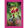 Bridge Score Pad - Summer Hummer - 50pages - 3.5 x 5.5 - Pack of 3