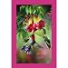 Bridge Score Pad - Summer Hummer - 50pages - 3.5 x 5.5 - Pack of 3