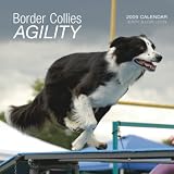 Border Collies Agility 2009 Calendar