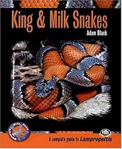 King and Milk Snakes (Complete Herp Care)