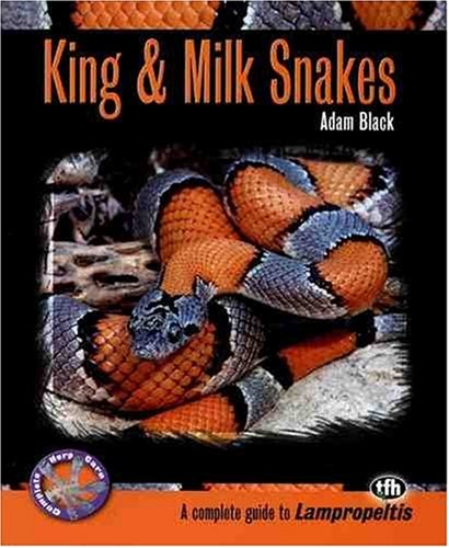 King & Milk Snakes (Complete Herp Care)