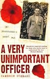 A Very Unimportant Officer: Life and Death on the Somme and at Passchendaele