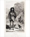 Photographic Print of Fuegian from Darwin s Beagle voyage from Science Photo Library