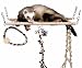 Ferret Cage Wooden Playbridge Pet Playing Climbing Toy