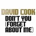David Cook Dont You