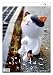 ぷにねこカレンダー2010