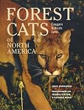 Forest Cats of North America: Cougars, Bobcats, Lynx