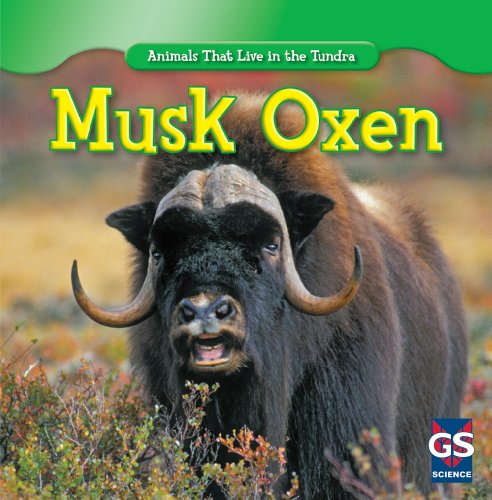 Musk Oxen (Animals That Live in the Tundra), by Roman Patrick