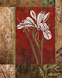 (12x16) Maria Donovan Jeweled Iris II Art Print Poster