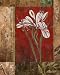 (12x16) Maria Donovan Jeweled Iris II Art Print Poster