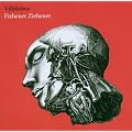 Fizheuer Zieheuer