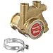 Procon 141A060F11CA Low Lead Brass Rotary Vane Pump, 3/8" NPTF, 73 GPH