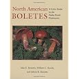 boletes