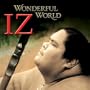 Wonderful World