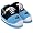 Carolina Panthers