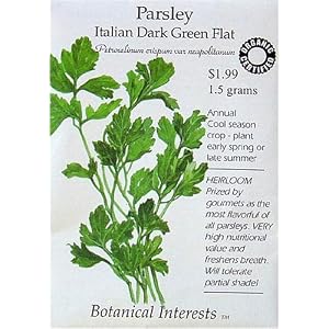 Parsley Italian Flat Leaf Certified Organic Seeds Parsley Italian Flat Leaf Certified Organic Seeds
