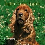 English Cocker Spaniels 2012 Kalender