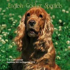 English Cocker Spaniels 2012 Kalender