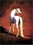 Horses of the Sun: A Gallery of the World's Most Exquisite Equines