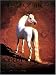 Horses of the Sun : A Gallery of the World's Most Exquisite by Robert Vavra